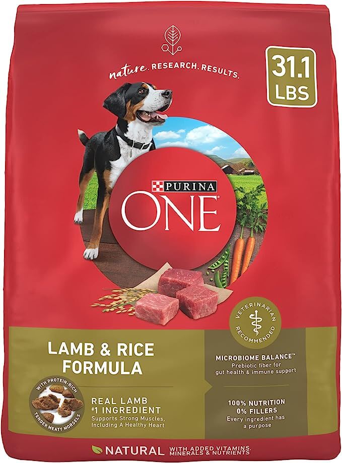 Purina ONE SmartBlend Natural Adult Dry Dog Food